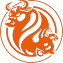 FXOpen logo
