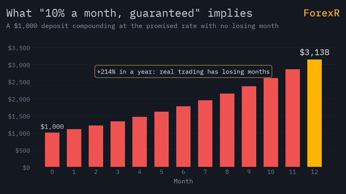 Bar chart of a $1,000 deposit growing at 10% every month for 12 months to about $3,138, a gain of about 214% in a year