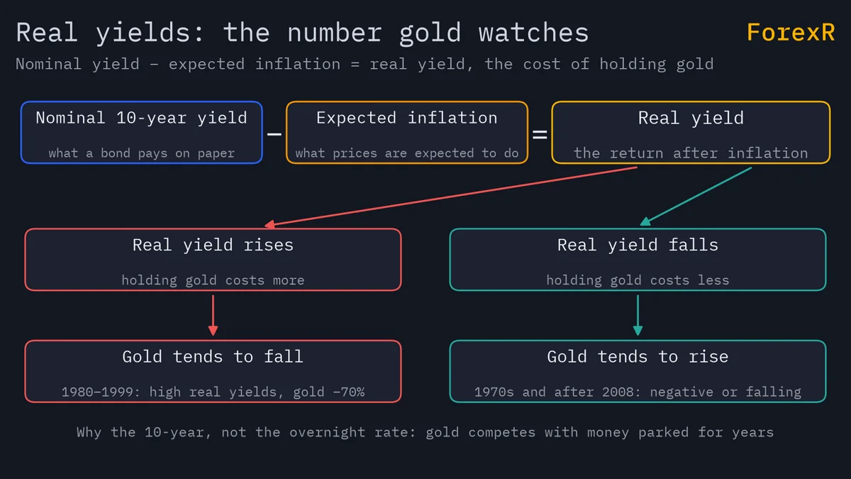 Flow diagram: nominal 10-year yield minus expected inflation equals the real yield; when it rises gold costs more to hold and tends to fall, when it falls gold tends to rise