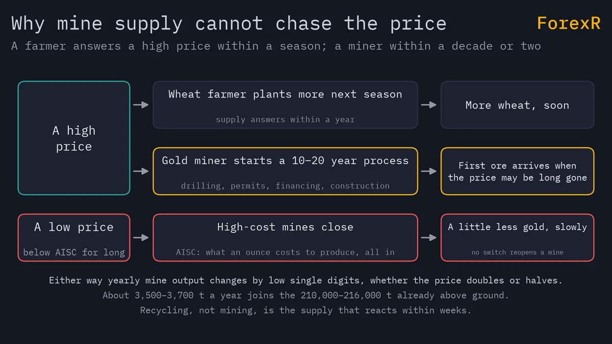 Diagram comparing a wheat farmer, who plants more within a season after a high price, with a gold miner, who needs 10 to 20 years to reach production, and a low price closing mines slowly