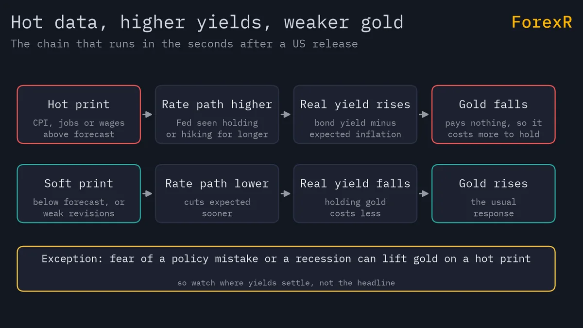 Diagram of two four-step chains: a hot print raises the expected rate path and the real yield so gold falls; a soft print lowers them so gold rises; a footer notes the recession-fear exception