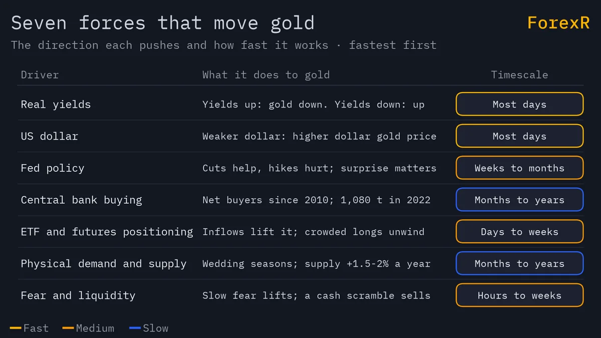 Table-style diagram of seven gold price drivers, real yields, the US dollar, Fed policy, central banks, ETF and futures positioning, physical demand and supply, and fear, with the direction each pushes gold and its timescale