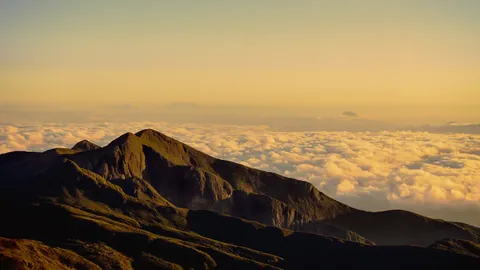 Mountain ridge above a sea of clouds at sunset
