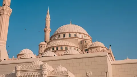 Al Maghfirah Mosque in UAE with its domes and towers under the clear sky