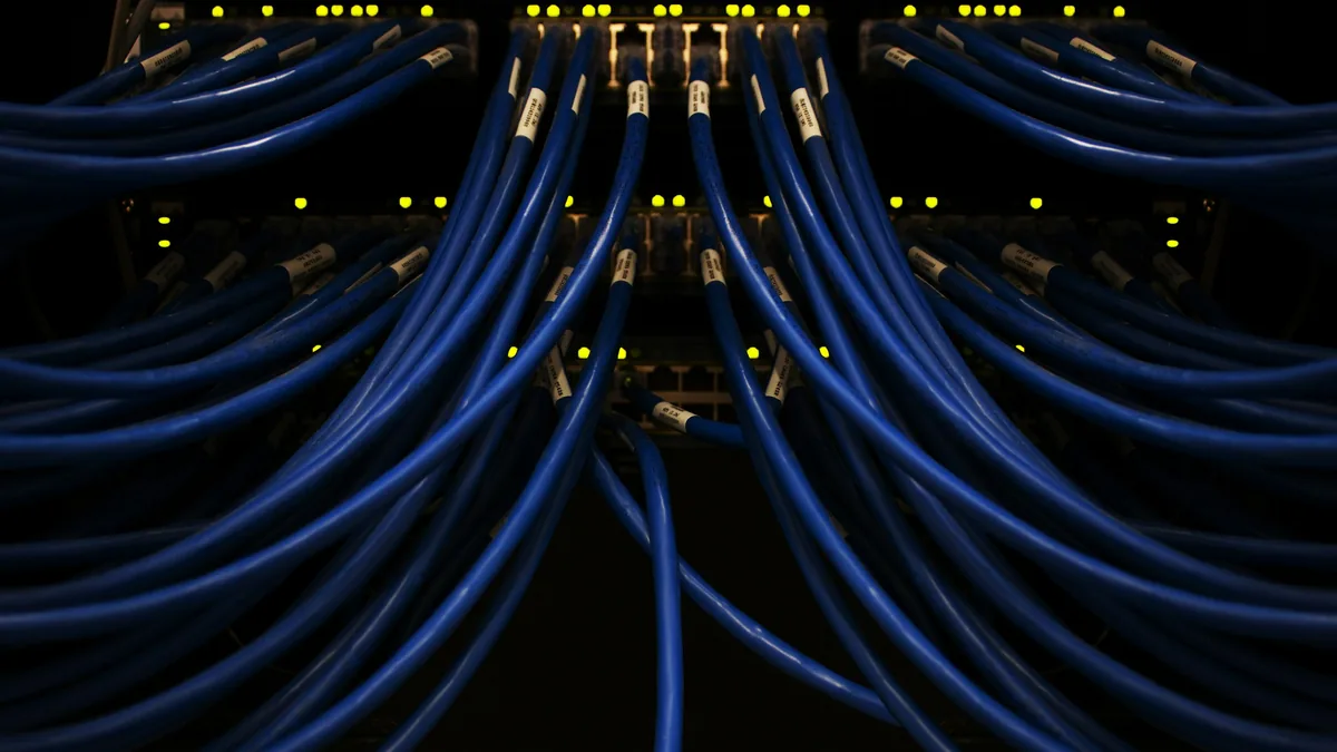Bundle of blue network cables connected to equipment