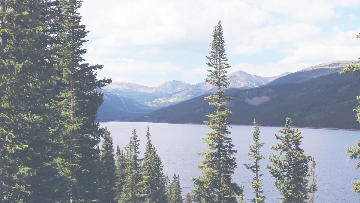 Tall pine trees above a mountain lake with distant peaks
